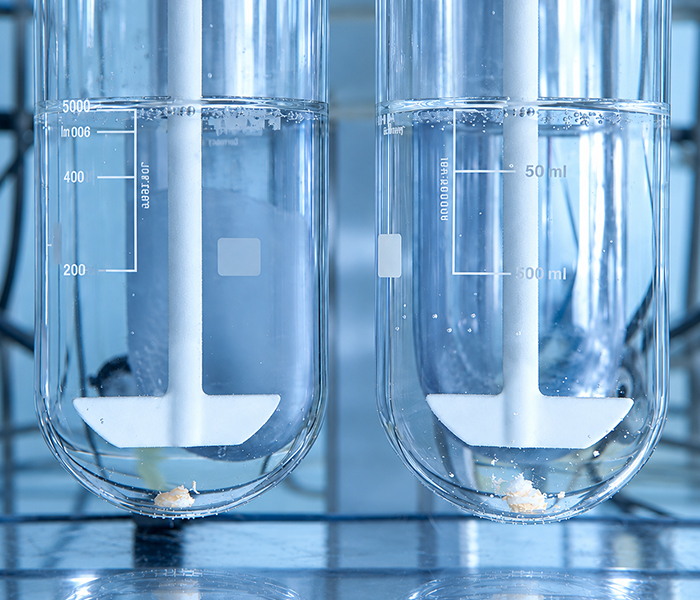 new-formulation-development